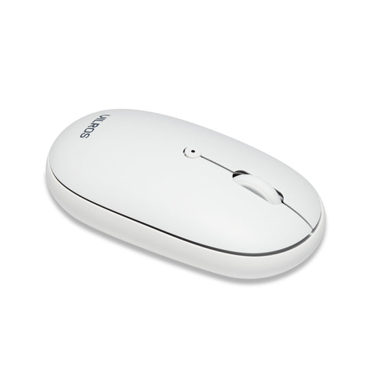 Dual Mode (Wireless & Bluetooth) Mouse