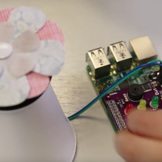 Create an Electronic Garden for Spring with Raspberry Pi