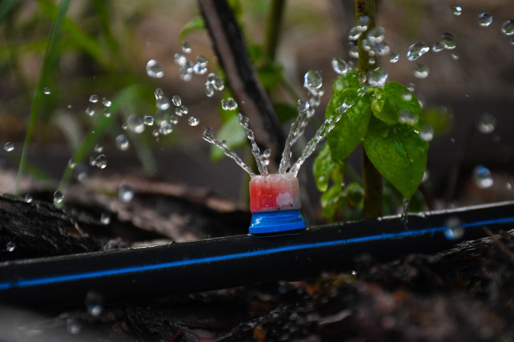 Arduino Used to Water Plants