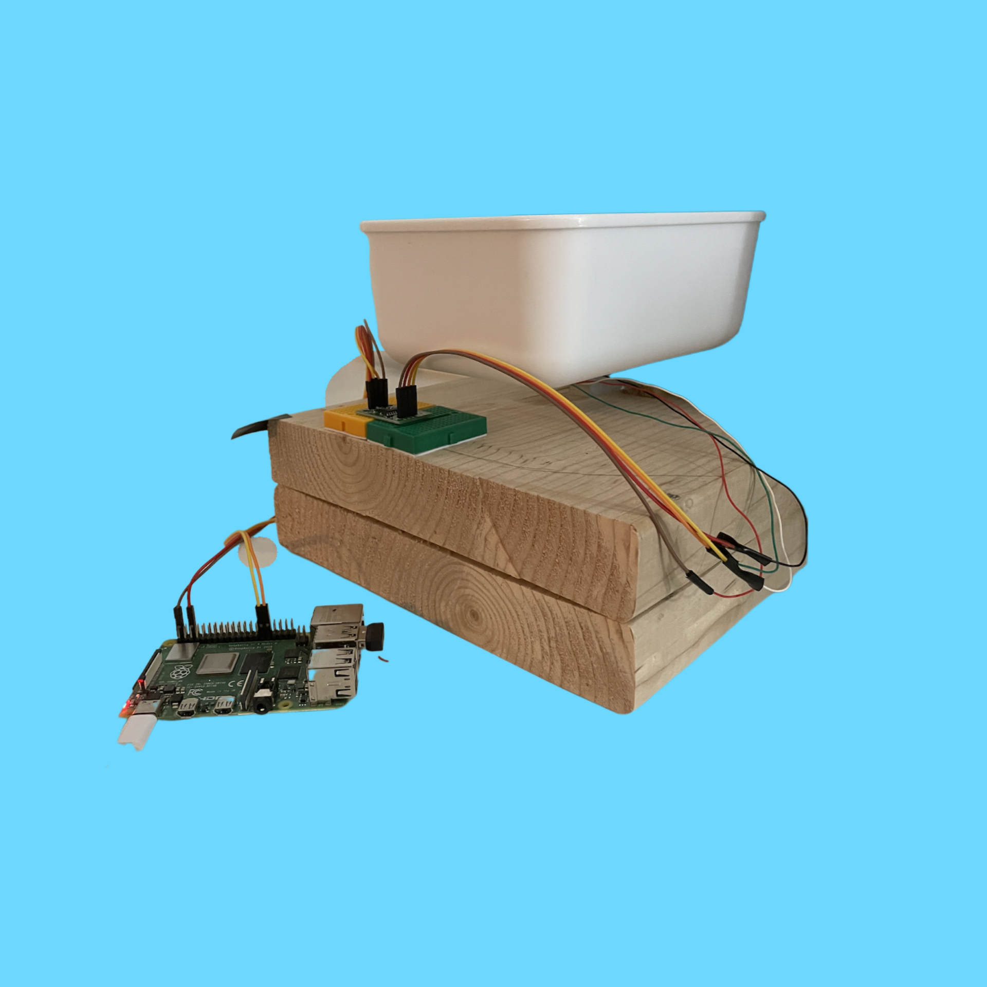 Smart Pet Bowl: a Raspberry Pi 4 Beginners Guide | Vilros