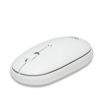Dual Mode (Wireless & Bluetooth) Mouse